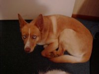 406191-Roxy 3.jpg