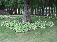 448977-MVC-006S.JPG