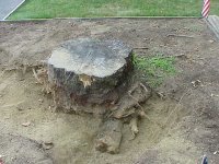 448980-MVC-007S.JPG