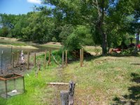 6-18-11 Pounded Pier Posts.jpg