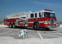OscarTheDalmatian.jpg