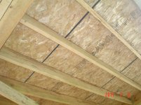 12X24LeanTo 002.jpg