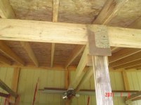 12X24LeanTo 006.jpg
