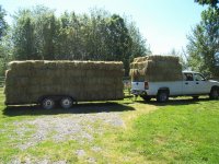 Horse Hay 2011 004.JPG