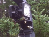 IMG-20110803-00018.jpg