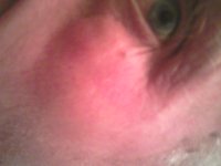0905112001.jpg