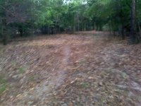 lookinfromdriveway (Medium).jpg