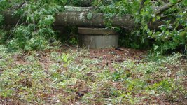 DSC01961.JPG