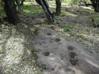 Grindholes 015.jpg