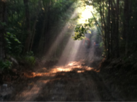 image-1947184483.png
