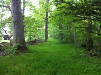 path1.jpg