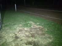 IMG-20110803-00024.jpg