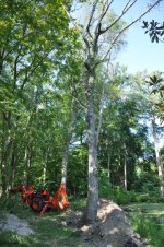 2011 8 August 059.jpg