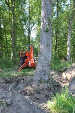 2011 8 August 060.jpg