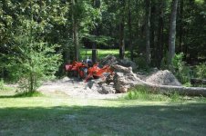 2011 8 August 081.jpg