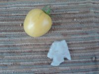 arrowhead2.jpg