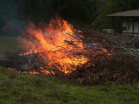 fire1.jpg