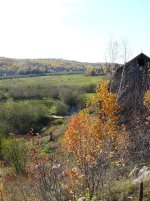 farm view 1.jpg