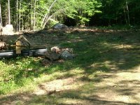 IMG00022-20110620-1624.jpg