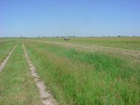 DSC05435.JPG