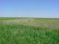 DSC05447.JPG