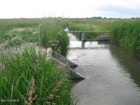 20100630204416383475000000-o.jpg