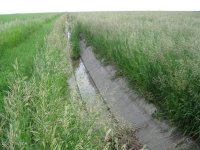 20100630212201182129000000-o.jpg