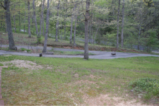 image-2059436138.png