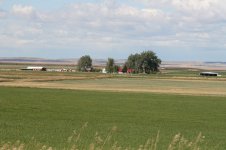 IMG_1352.jpg