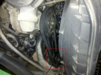 IMG_20110801_192421.jpg