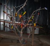 08-xmas-tree.jpg