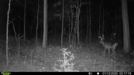 8pt Jan 11th.jpg