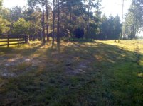 image-1347033930.jpg
