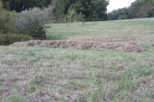 Windrow 1r.jpg