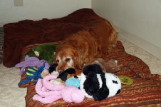 ruby toys small.jpg