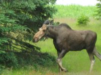 IMG_0079.jpg