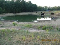IMG_1950.JPG
