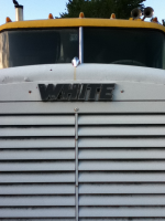 image-3629613157.png