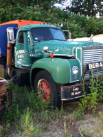 image-4168351955.png