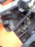 E41A0309.JPG