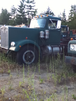 image-1004311677.png