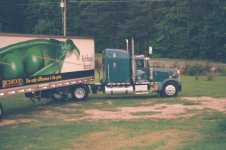 In the Yard.jpg