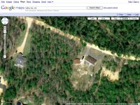 House with trees.jpg