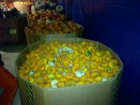 pumpkins 005.jpg