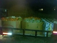 pumpkins 015.jpg