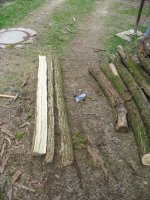 splitting-locust-spring-2010_1_1.jpg