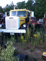 image-459825784.png
