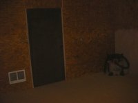 DSC06800.JPG