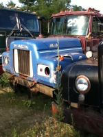 image-4185265104.png