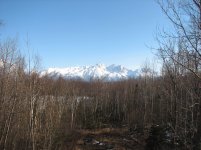 Scouts 2011 023.jpg